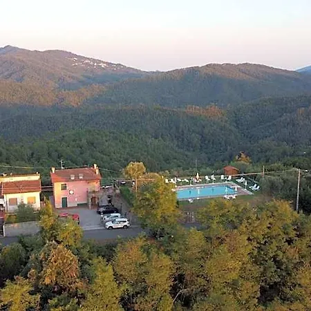 Daniela 4*